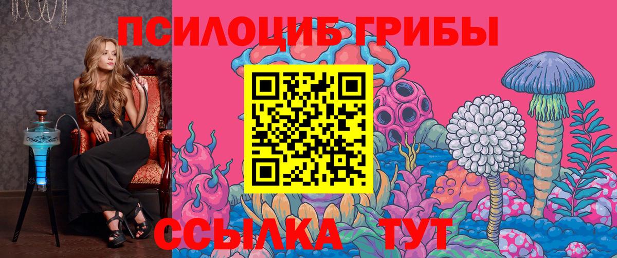 Псилоцибиновые грибы GOLDEN TEACHER Назрань
