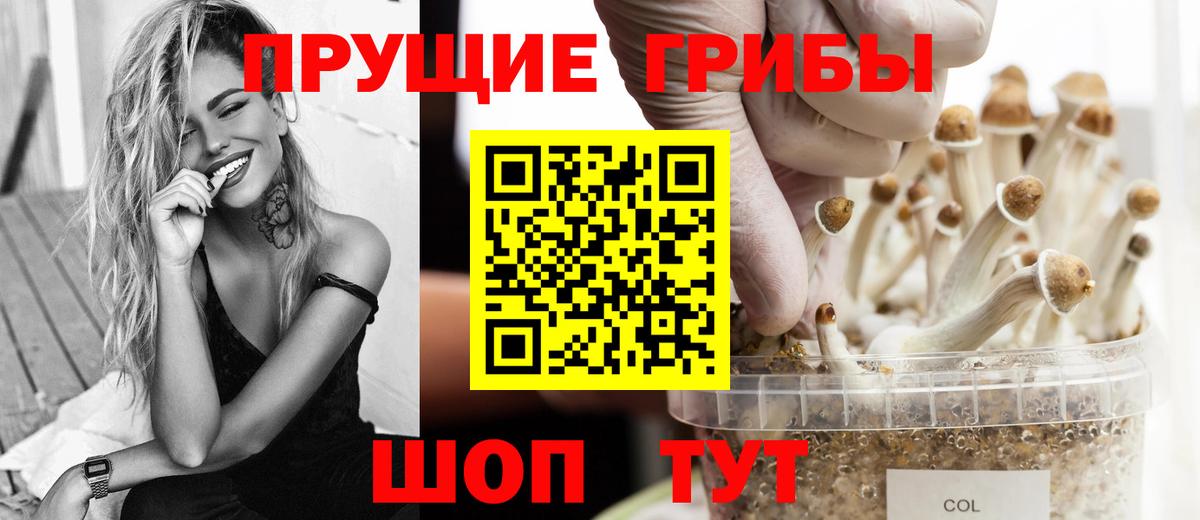Галлюциногенные грибы GOLDEN TEACHER  Вход с VPN  где купить наркотик  Назрань  Галлюциногенные грибы Magic Shrooms 